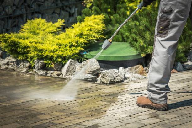 Spring Cleaning in Clifton Gardens, NY