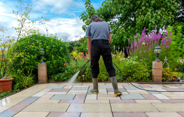 Reliable Clifton Gardens, NY Pressure Washing Services Solutions