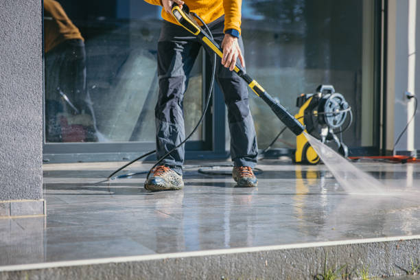 Animal Enclosure Cleaning in Clifton Gardens, NY